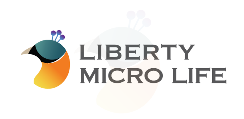 Liberty Micro Life Insurance