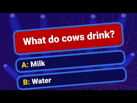 Millionaire 2026 Quiz & Trivia